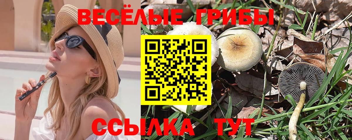Псилоцибиновые грибы мицелий Саров