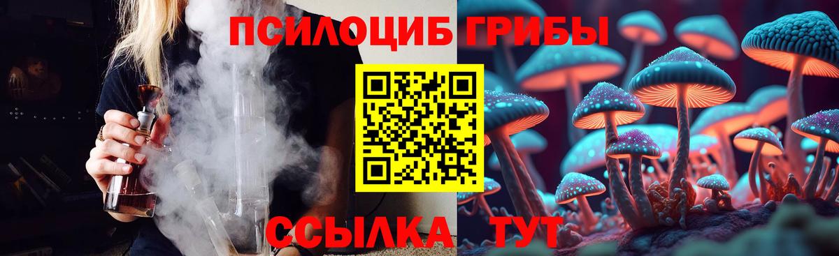 Псилоцибиновые грибы GOLDEN TEACHER  Вход с VPN  Псилоцибиновые грибы Cubensis  Саров 